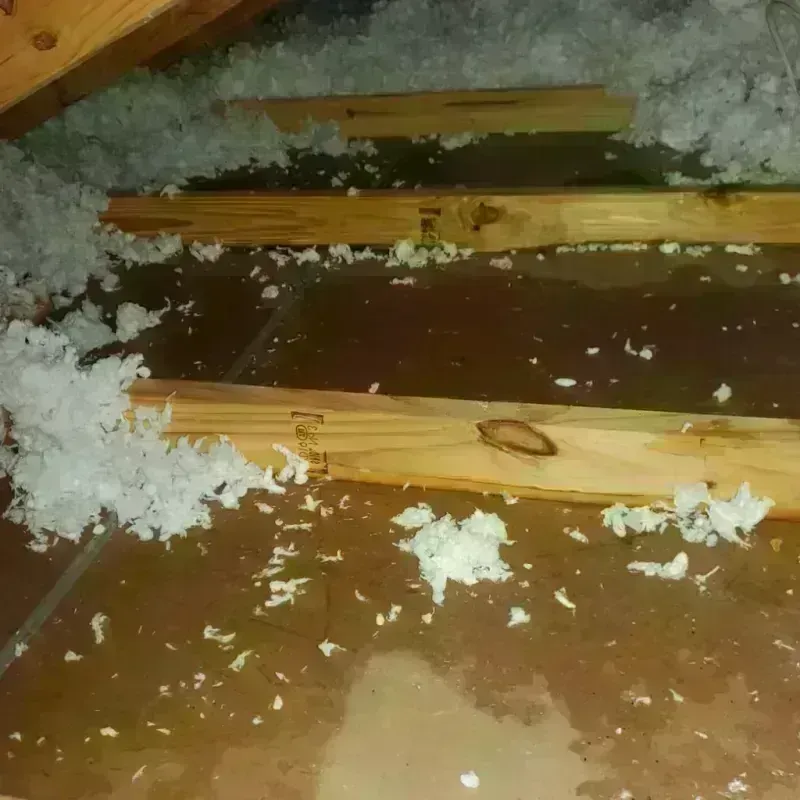 Attic Water Damage in Clarksville, IN